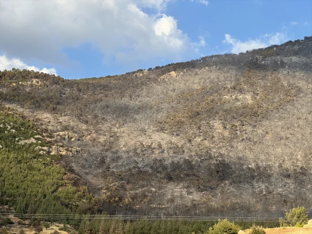 Pamukkale'de Korkutan Anlar: Orman Yangını Son Anda Kontrol Altına Alındı