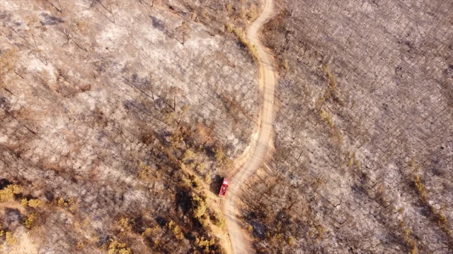 Pamukkale'de Korkutan Anlar: Orman Yangını Son Anda Kontrol Altına Alındı