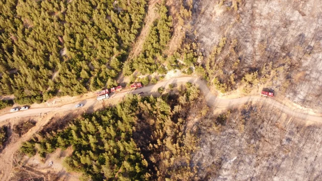 Pamukkale'de Korkutan Anlar: Orman Yangını Son Anda Kontrol Altına Alındı