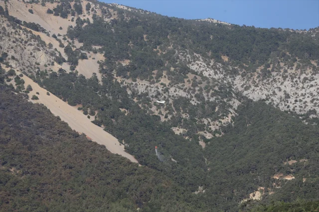 Pamukkale'de Korkutan Anlar: Orman Yangını Son Anda Kontrol Altına Alındı