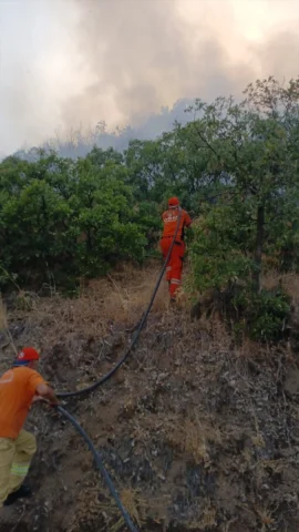 Bingöl'deki Orman Yangını Kahramanca Mücadele ile Söndürüldü