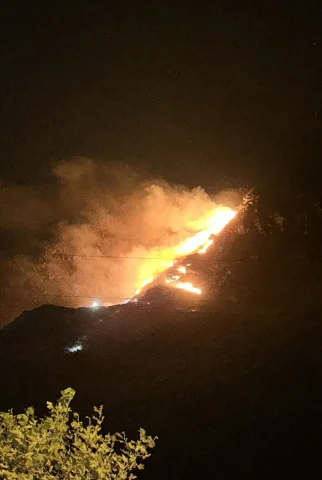 Marmara Adası'ndaki Yangın İyi ve Kötü Yanlarıyla Tartışılıy...
