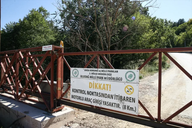 Bursa'da Muhtar Orman Yangınlarına Karşı Yeni Bir Sistem Başlattı