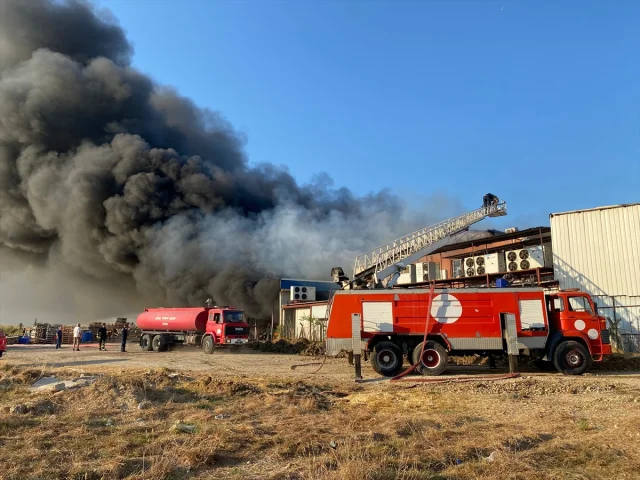 Antalya'da Korkutan Yangın: Soğuk Hava Depoları Alevlere Teslim Oldu
