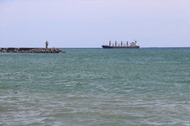 Poyraz Fırtınası Tekirdağ'da Hayatı Felç Etti
