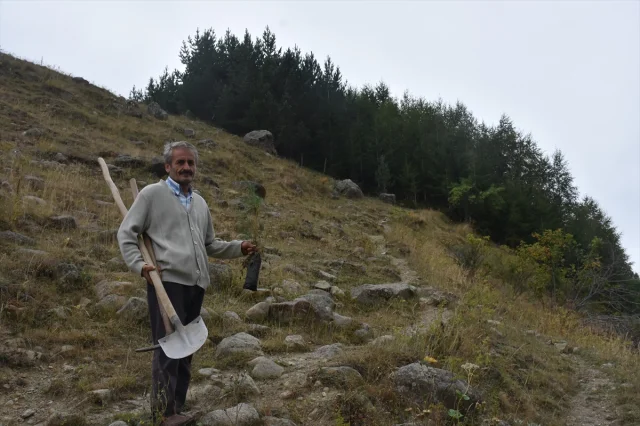 40 Yıllık Ağaç Sevgisiyle Köyü Yeşillendirdi