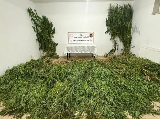 Şanlıurfa'daki Büyük Narkotik Operasyonunun Detayları Ortaya...