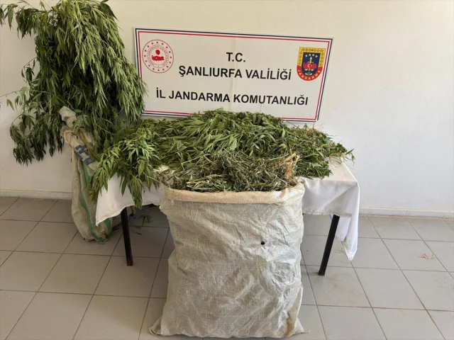 Şanlıurfa'daki Büyük Narkotik Operasyonunun Detayları Ortaya Çıktı