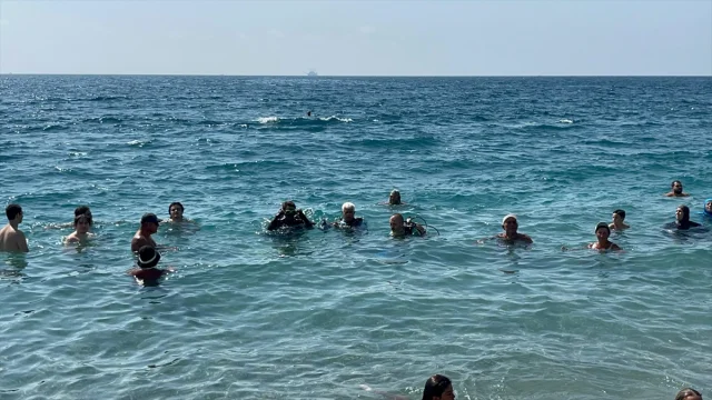 Akdeniz'in Isınmasına Şaşıracaksınız! Ekosistem Başkalaşıyor