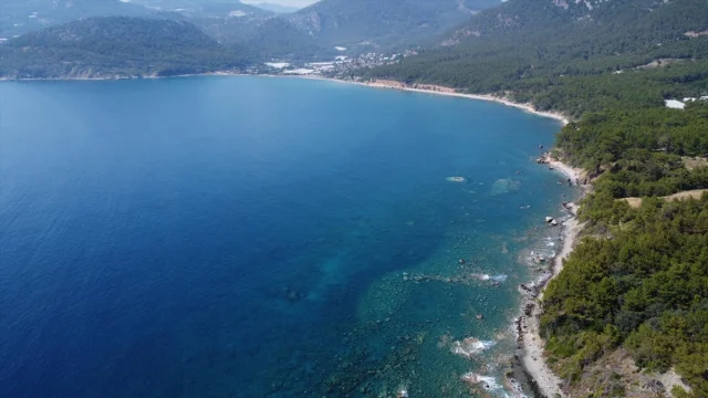 Akdeniz'in Isınmasına Şaşıracaksınız! Ekosistem Başkalaşıyor