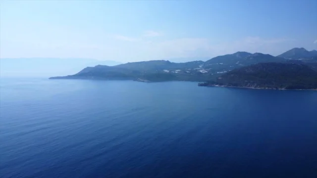 Akdeniz'in Isınmasına Şaşıracaksınız! Ekosistem Başkalaşıyor