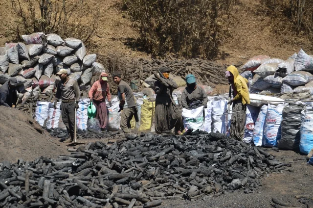 Mangal Kömürü Üreticilerinin Zorlu Mücadelesi: Hem Sıcakla H...