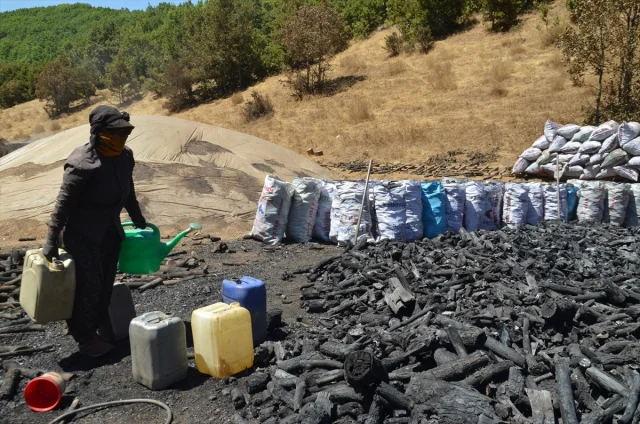 Mangal Kömürü Üreticilerinin Zorlu Mücadelesi: Hem Sıcakla Hem Ateşle