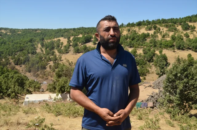 Mangal Kömürü Üreticilerinin Zorlu Mücadelesi: Hem Sıcakla Hem Ateşle