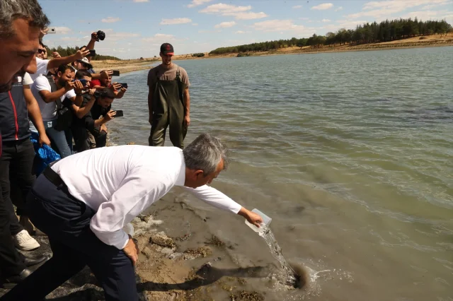 Edirne'nin Osmanlı Köyünde İlginç Buluşma: 30 Bin Sazan Yavrusu Gölete Salındı