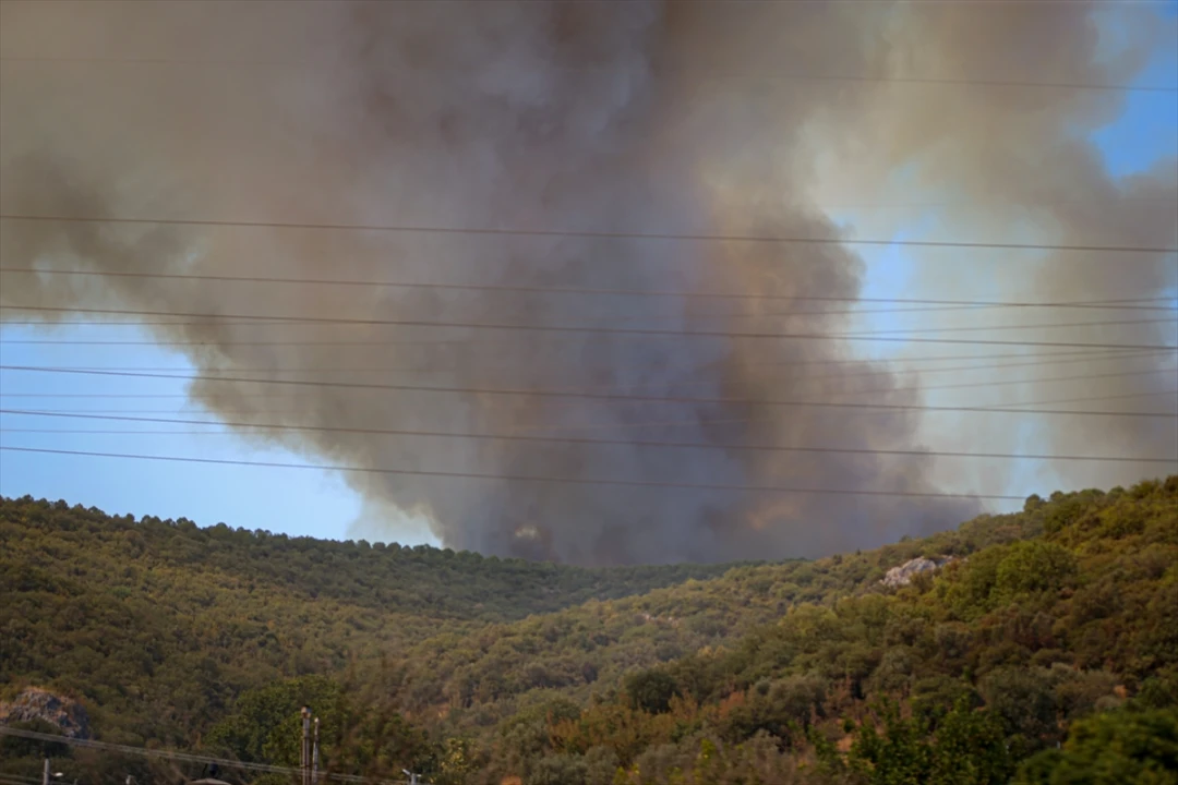 Bursa'da Orman Yangını Hızla Yayılıyor: Karadan ve Havadan Yoğun Müdahale
