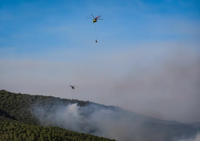 Orman Yangınlarıyla Mücadelede Bursa'dan Canlı Gelişmeler