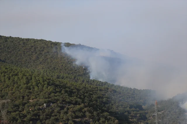 Orman Yangınlarıyla Mücadelede Bursa'dan Canlı Gelişmeler