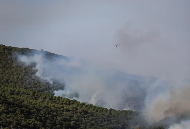 Orman Yangınlarıyla Mücadelede Bursa'dan Canlı Gelişmeler