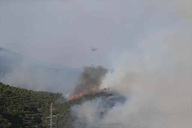 Orman Yangınlarıyla Mücadelede Bursa'dan Canlı Gelişmeler