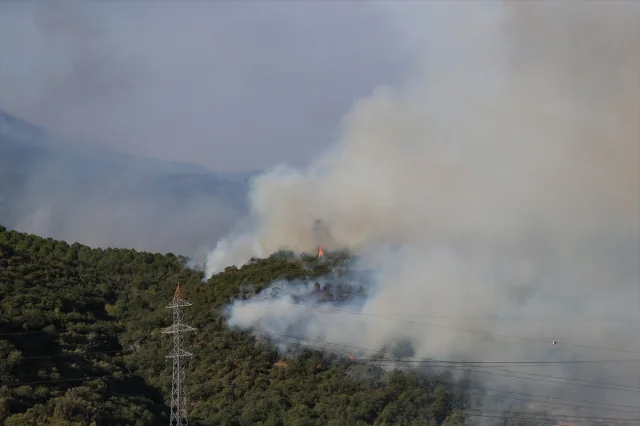Orman Yangınlarıyla Mücadelede Bursa'dan Canlı Gelişmeler