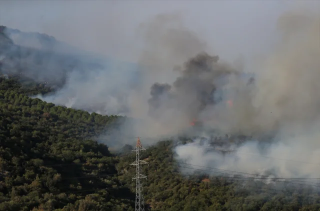 Orman Yangınlarıyla Mücadelede Bursa'dan Canlı Gelişmeler