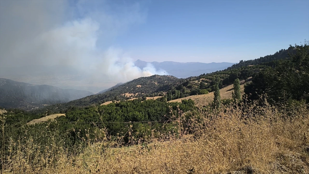 Denizli'deki Orman Yangınıyla Mücadele Etkileyici Anlara Sahne Oluyor