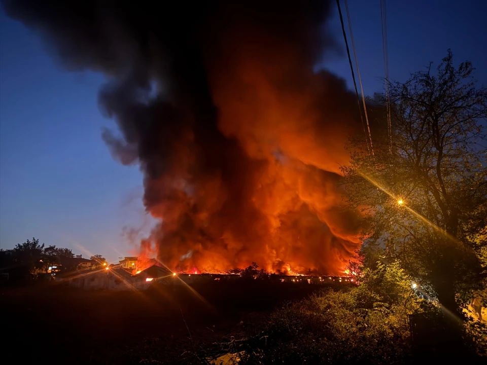 Sakarya'da Boyanede Çıkan Yangın Korkuttu: Müdahale Sürüyor
