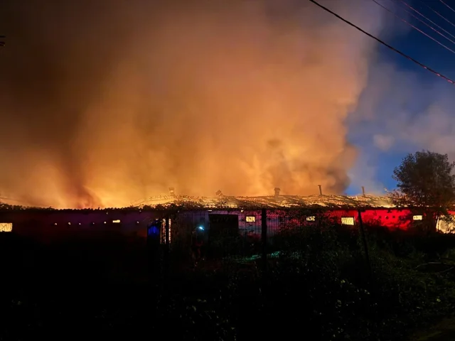 Sakarya'da Büyük Yangın Korkuttu: Boyahanede Neler Yaşandı