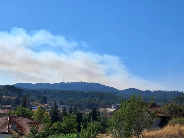 Denizli'de Orman Yangını Hız Kesmeden Devam Ediyor