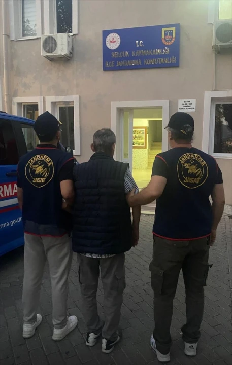 İzmir’de Şok Eden Olay: Sahipsiz Hayvanlar Hedefte