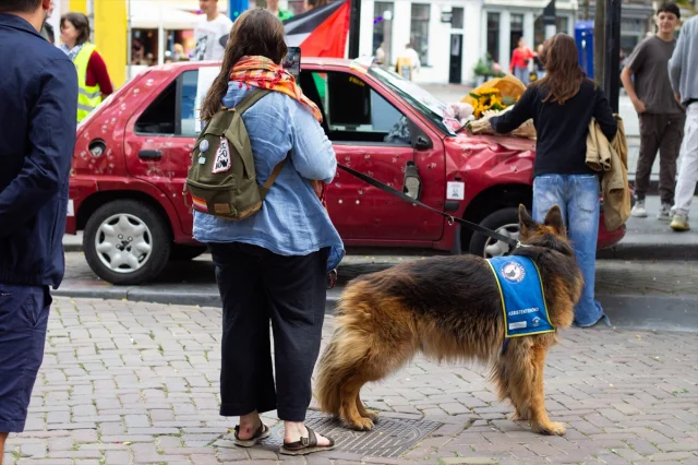 Hollanda'da Gazze'de Ölen Çocuğun Anısına Duygusal Sergi