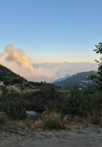 Denizli'deki Orman Yangını Kontrol Altına Alınmaya Çalışılıyor