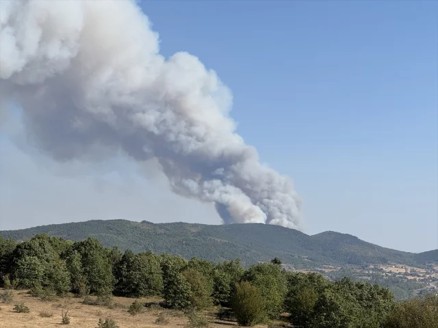 Karabük'teki Orman Yangınında Şaşırtan Gelişme