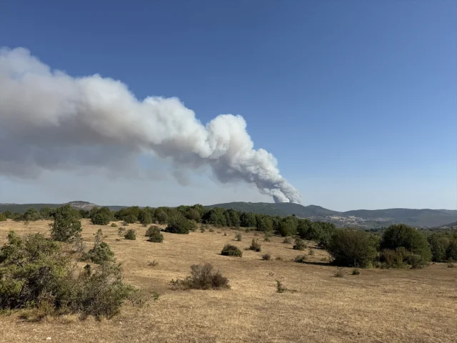 Karabük'teki Orman Yangınında Şaşırtan Gelişme