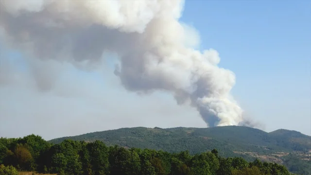 Karabük'te Çıkan Orman Yangını Korkutuyor