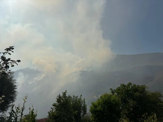 Bartın'da Ormanlık Alanda Çıkan Yangın Korkutuyor: Müdahaleler Sürüyor