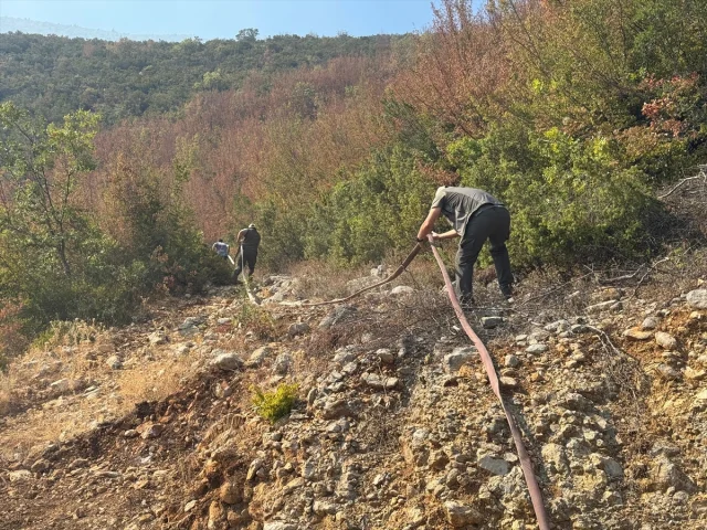Bartın'da Ormanlık Alanda Çıkan Yangın Korkutuyor: Müdahaleler Sürüyor