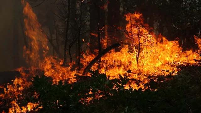 Karabük'te Çıkan Orman Yangını Korkutuyor