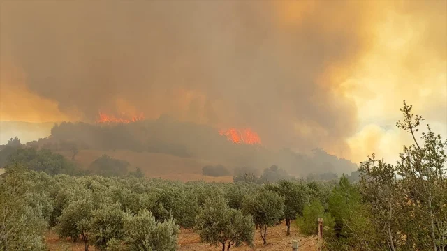 Denizli'de Yetkililer Yangının Etkisini Azaltmak için Neler Yapıyor?
