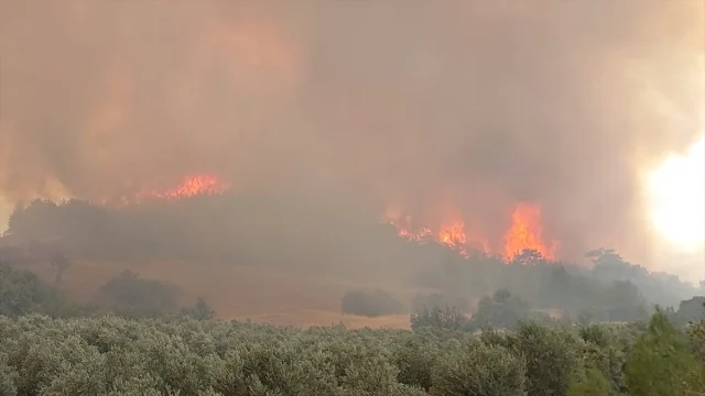 Denizli'de Yetkililer Yangının Etkisini Azaltmak için Neler Yapıyor?