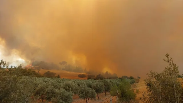 Denizli'de Yetkililer Yangının Etkisini Azaltmak için Neler Yapıyor?