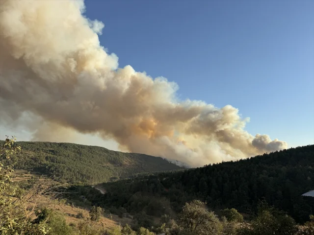 Karabük'te Çıkan Orman Yangını Korkutuyor