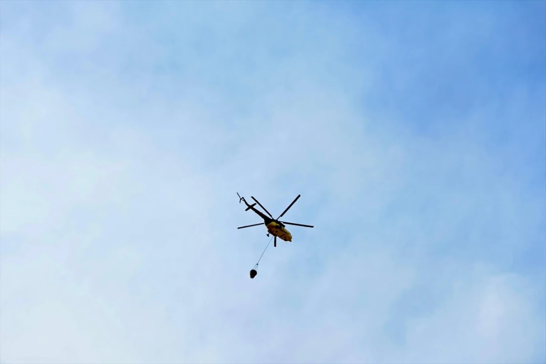 Denizli Pamukkale'de Orman Yangını Kontrol Altına Alındı: İşte Detaylar