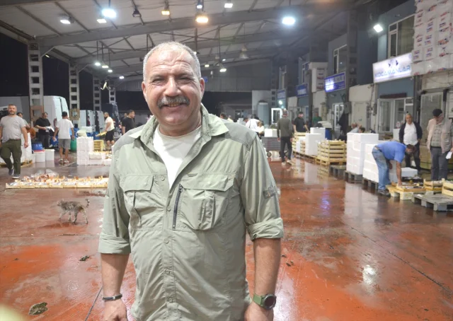 Kocaeli'de Balık Sezonu Başladı: İlk Açık Artırma Büyük İlgi...