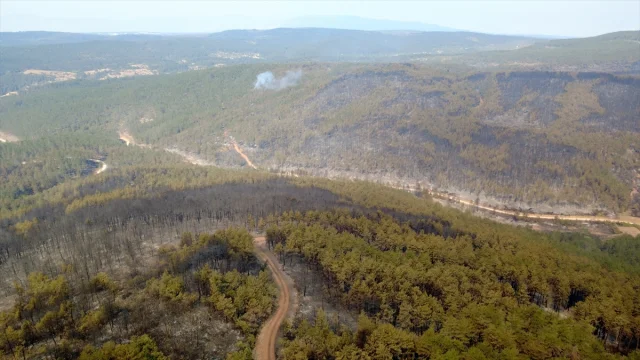 Kastamonu'da Başlayan Yangın Tehlikeyi Artırıyor