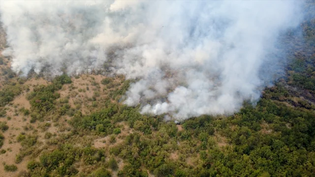 Kastamonu'da Başlayan Yangın Tehlikeyi Artırıyor