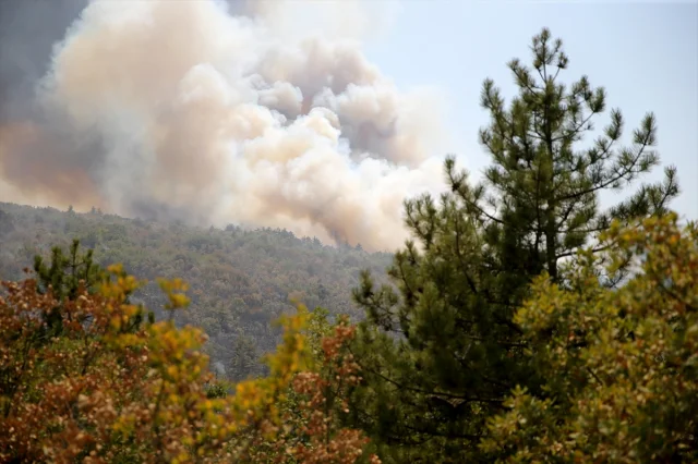 Kastamonu'da Başlayan Yangın Tehlikeyi Artırıyor