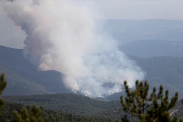 Kastamonu ve Karabük'teki Yangın Felaketi Büyüyor