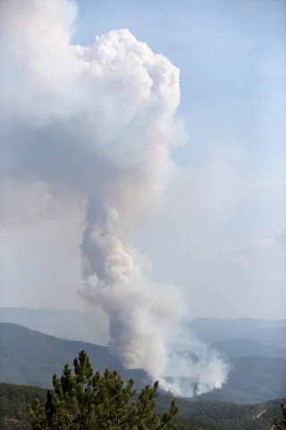 Kastamonu ve Karabük'teki Yangın Felaketi Büyüyor